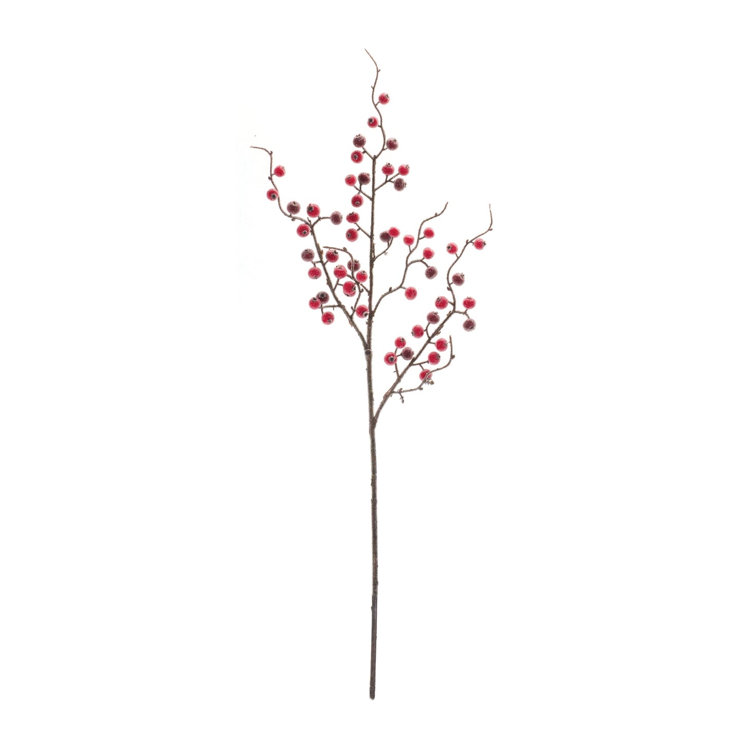 Iced Berry Twig Spray, Set of 12