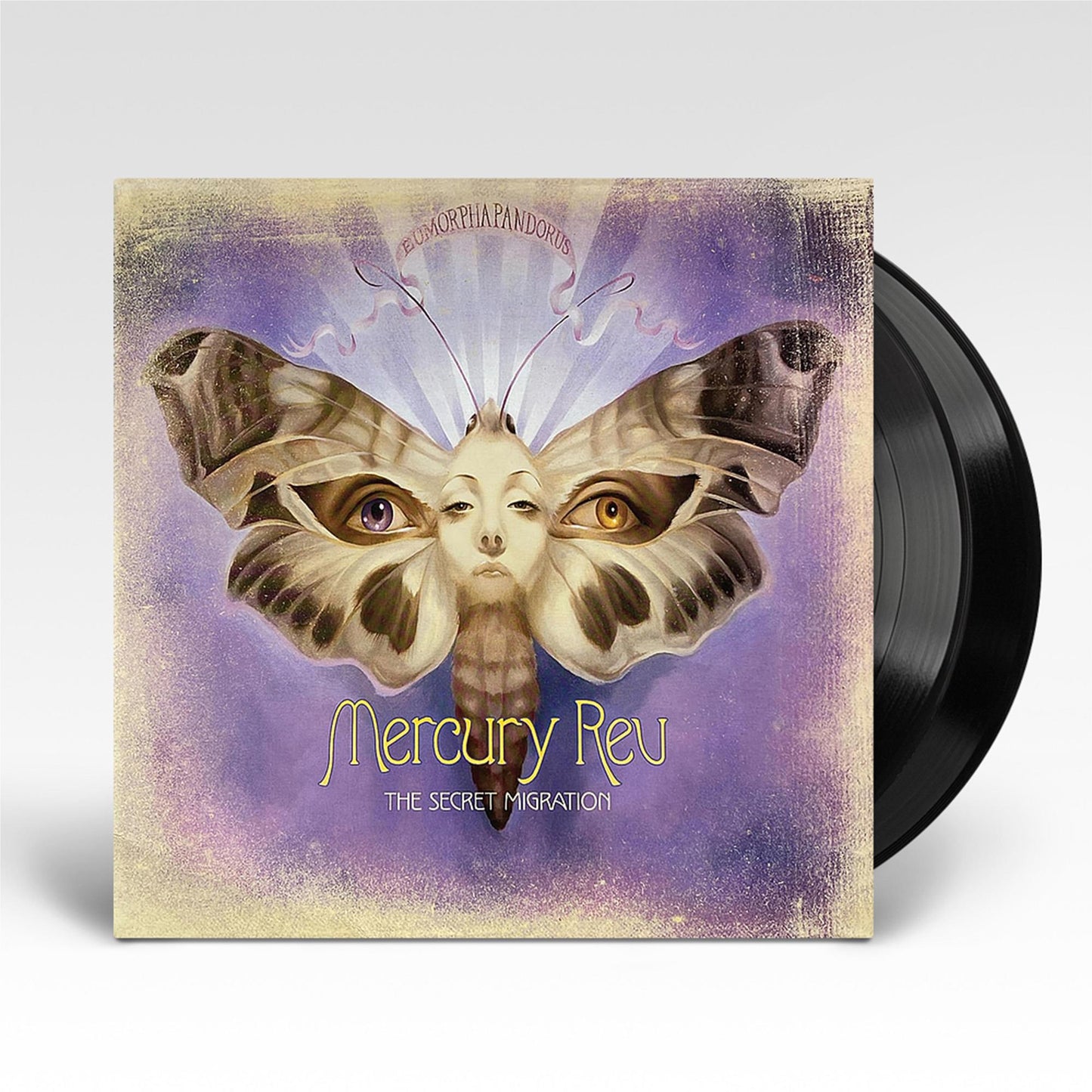 The Secret Migration (Vinyl)