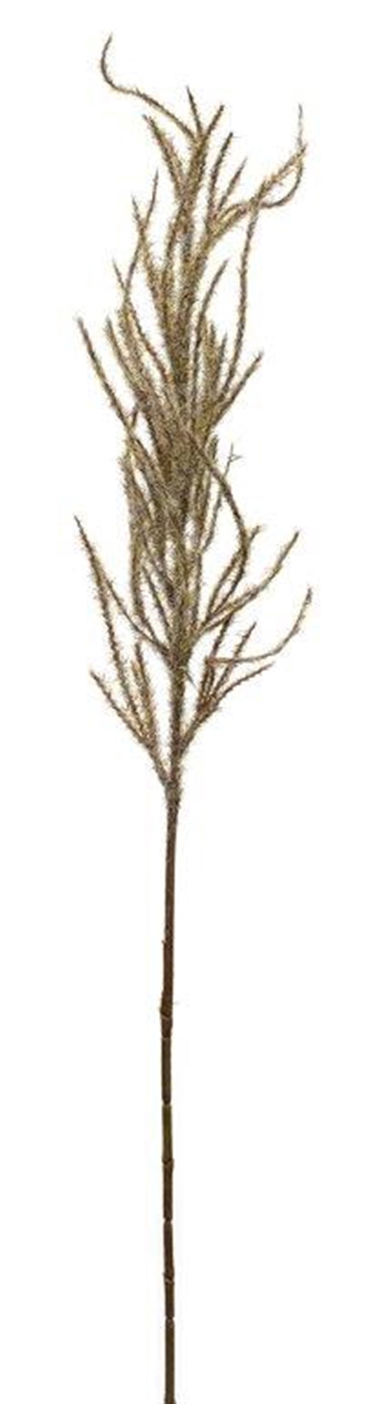 Flocked Beige Pampas Grass Spray, Set of 4