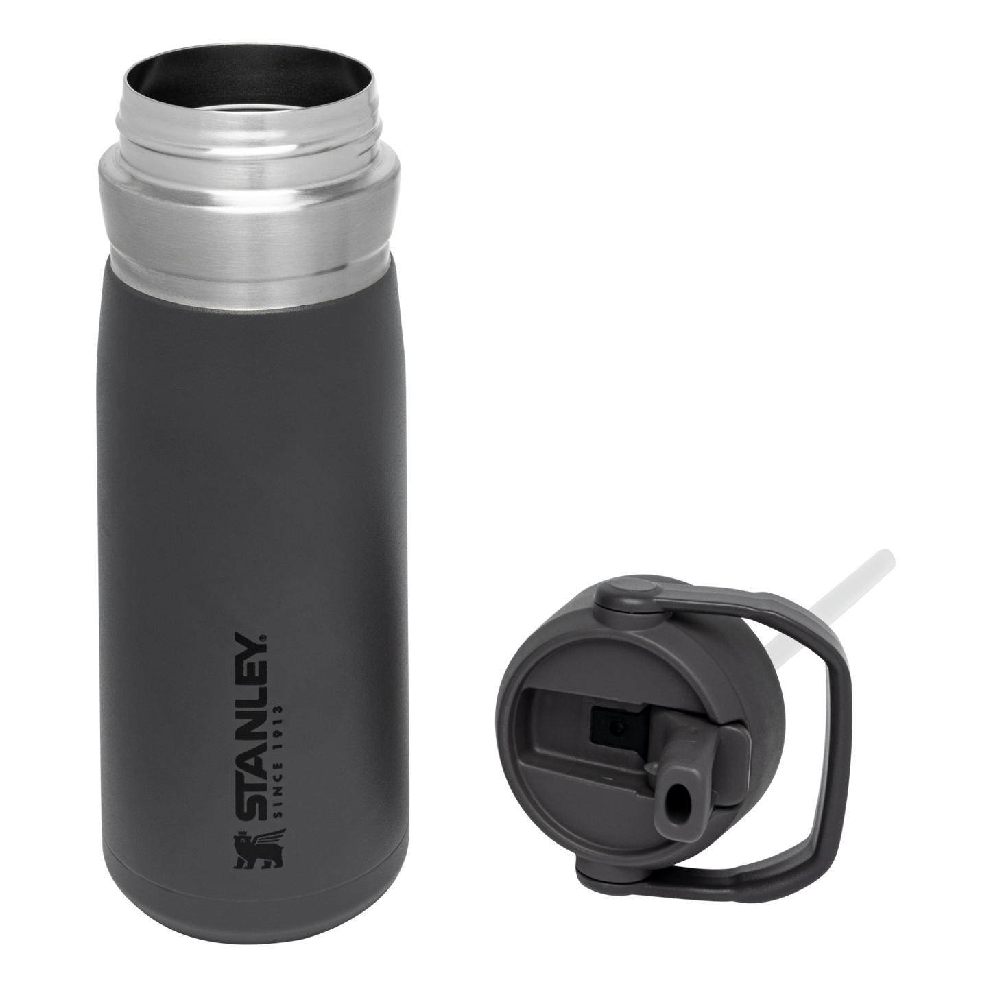 The Go Flip Straw Water Bottle | 22 OZ