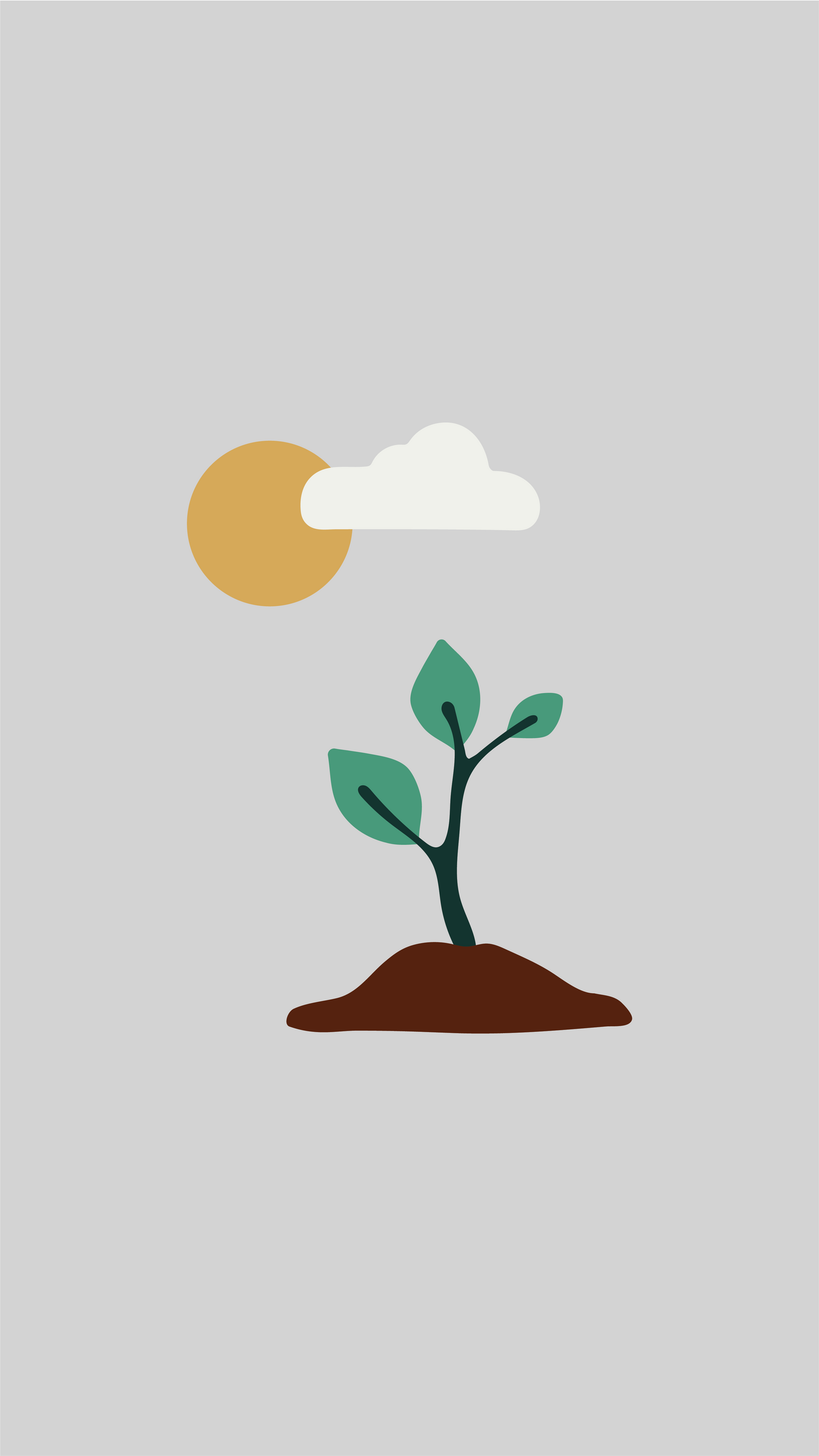 Plant 1 Tree in a Mangrove Forest