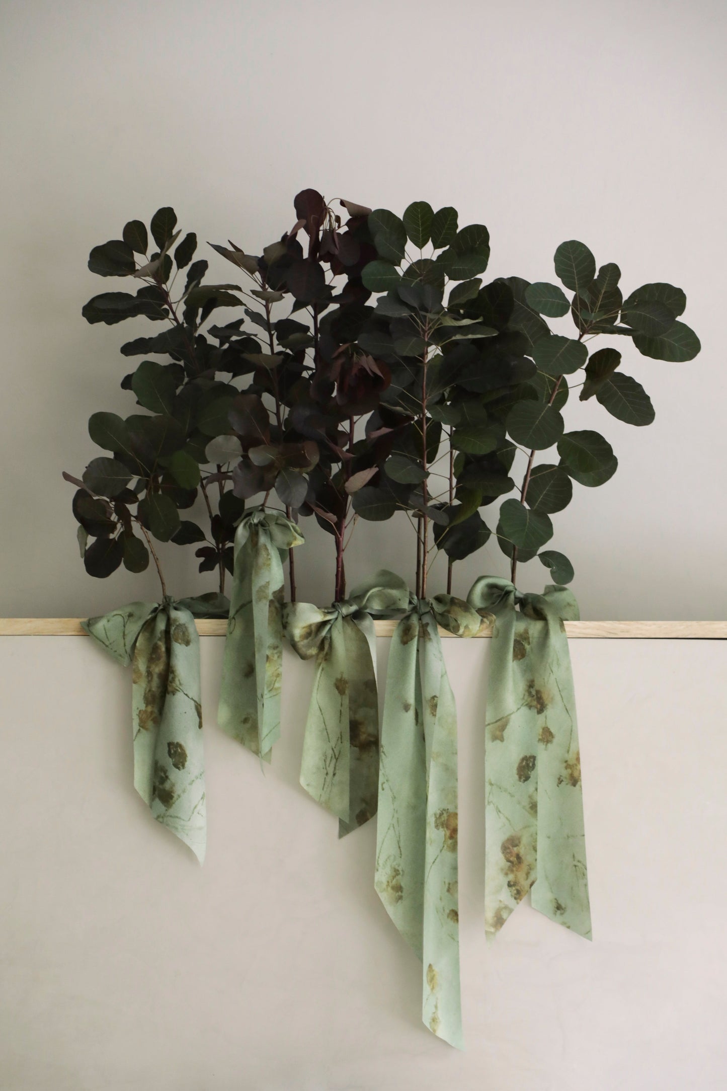 MISPRINT Botanical Print / Coreopsis Sage Silk ribbon