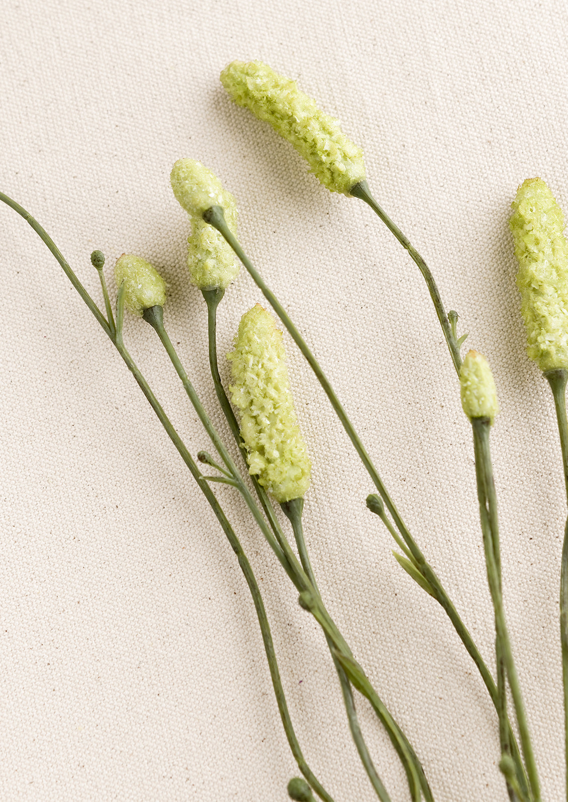 Faux Burnet Spray