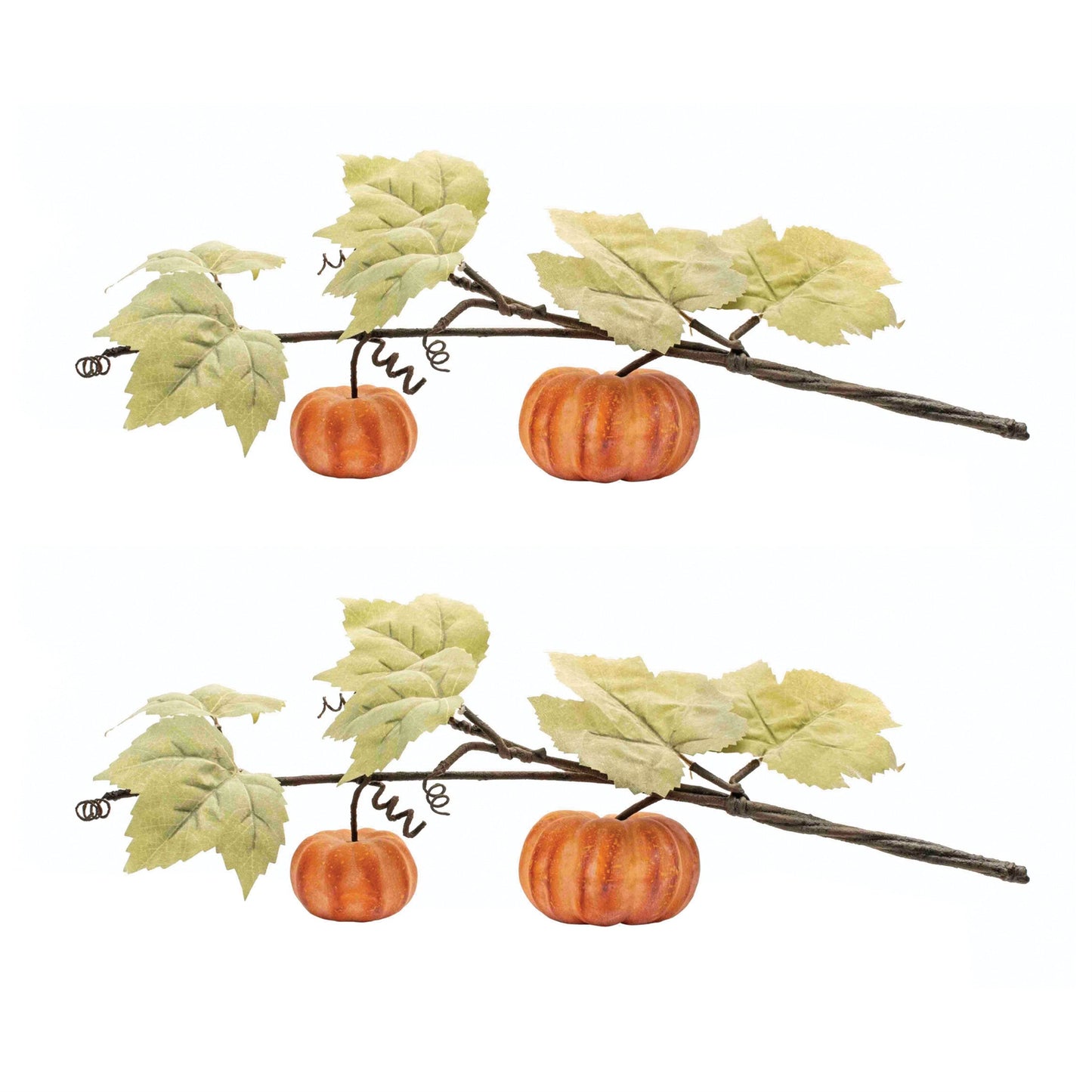 Double Pumpkin Vine (Set of 2)