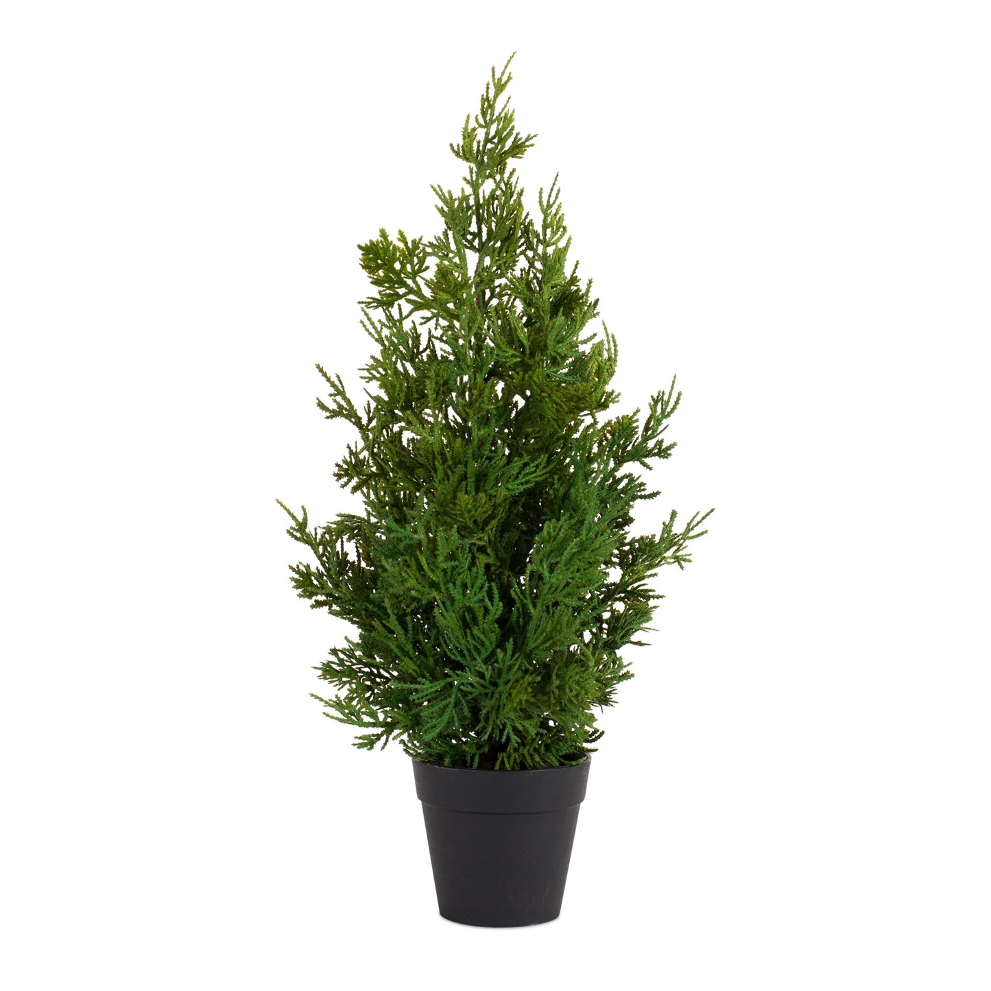 Holiday Pine Tree in Plastic Pot, Set of 2
