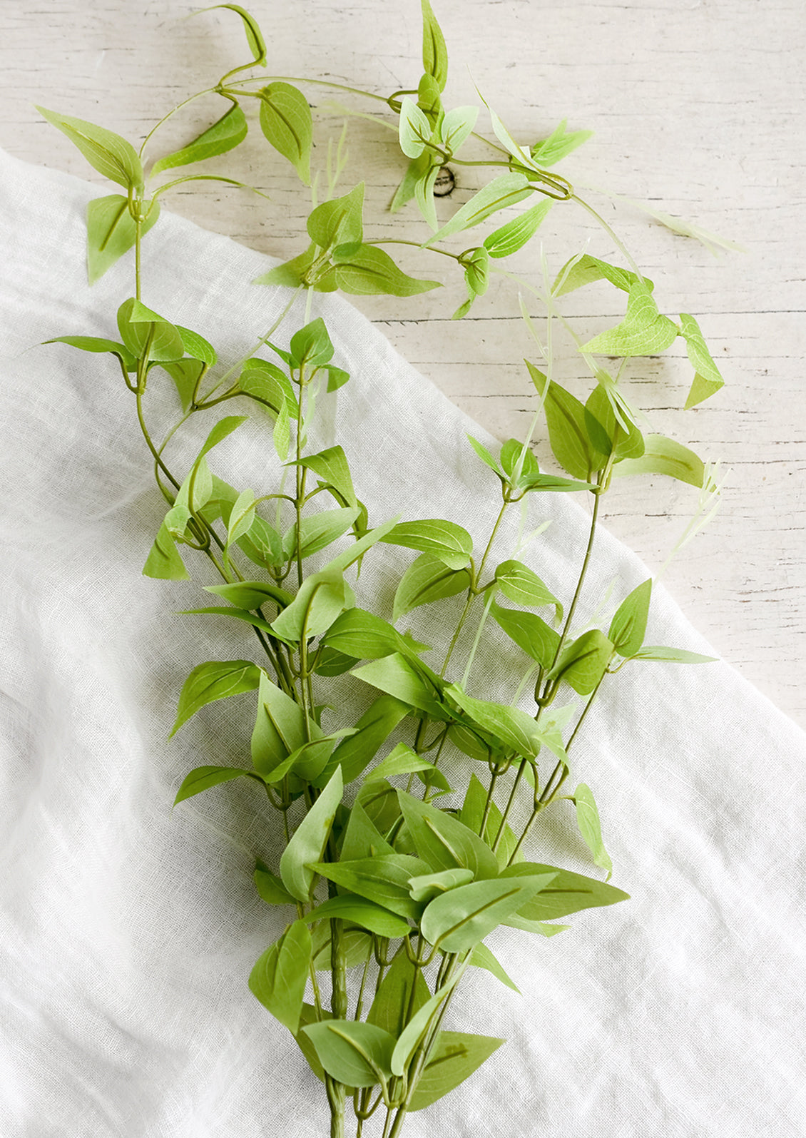 Trailing Leaf Spray