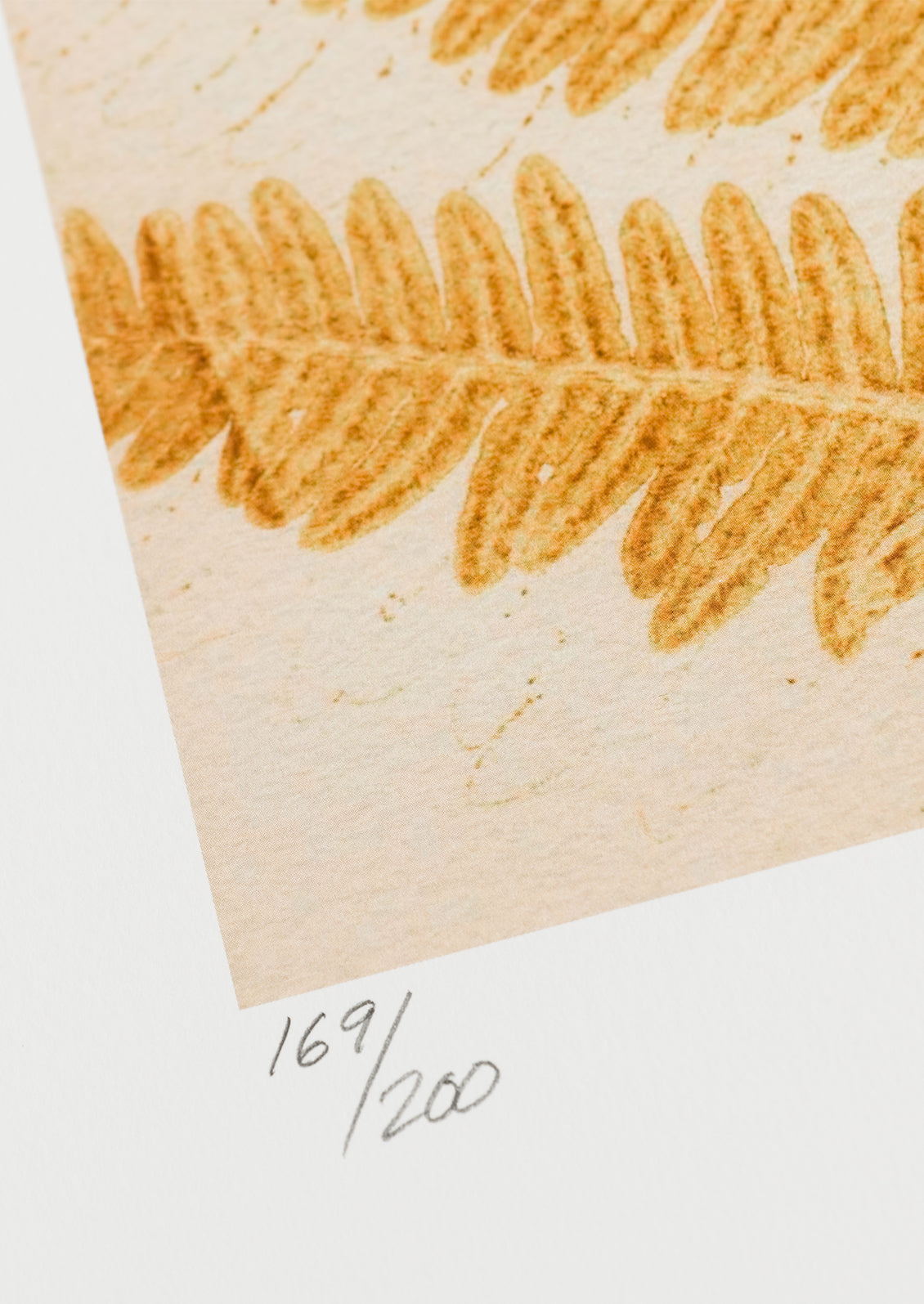 Fern in Mustard Print