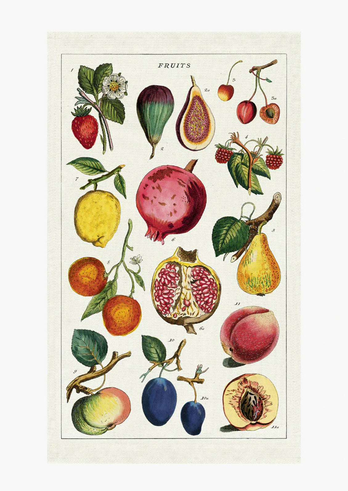 Fruit Varieties Tea Towel