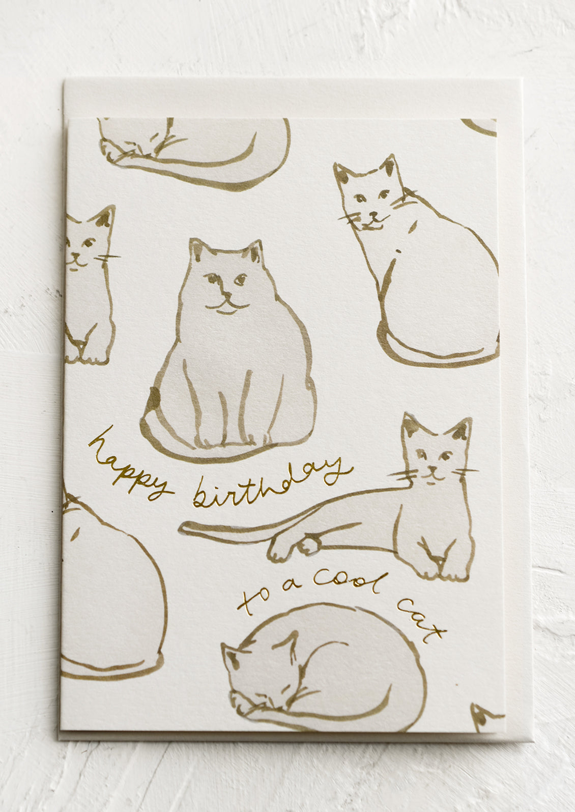 Happy Birthday To A Cool Cat Card