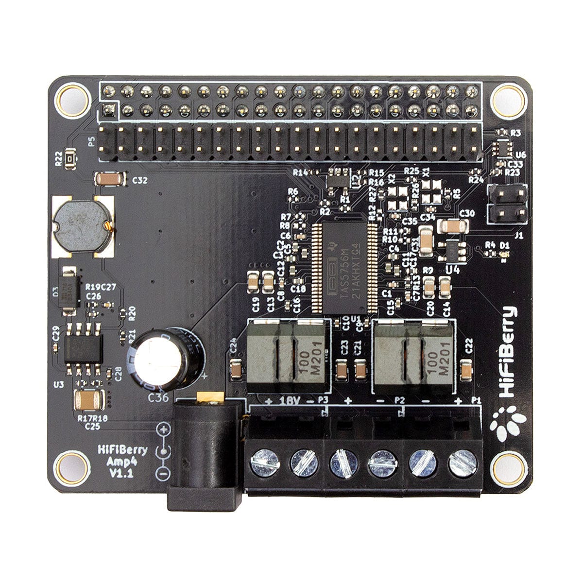 HiFiBerry Amp4