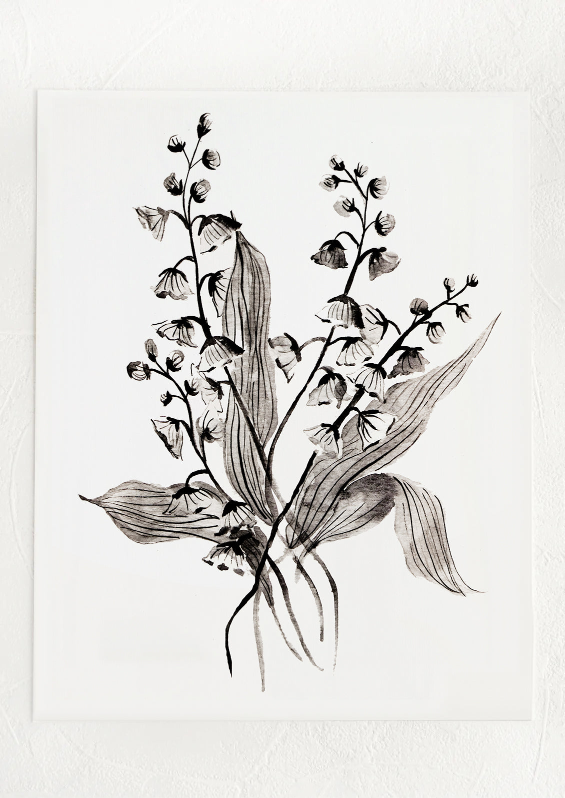 Lily Of The Valley Print