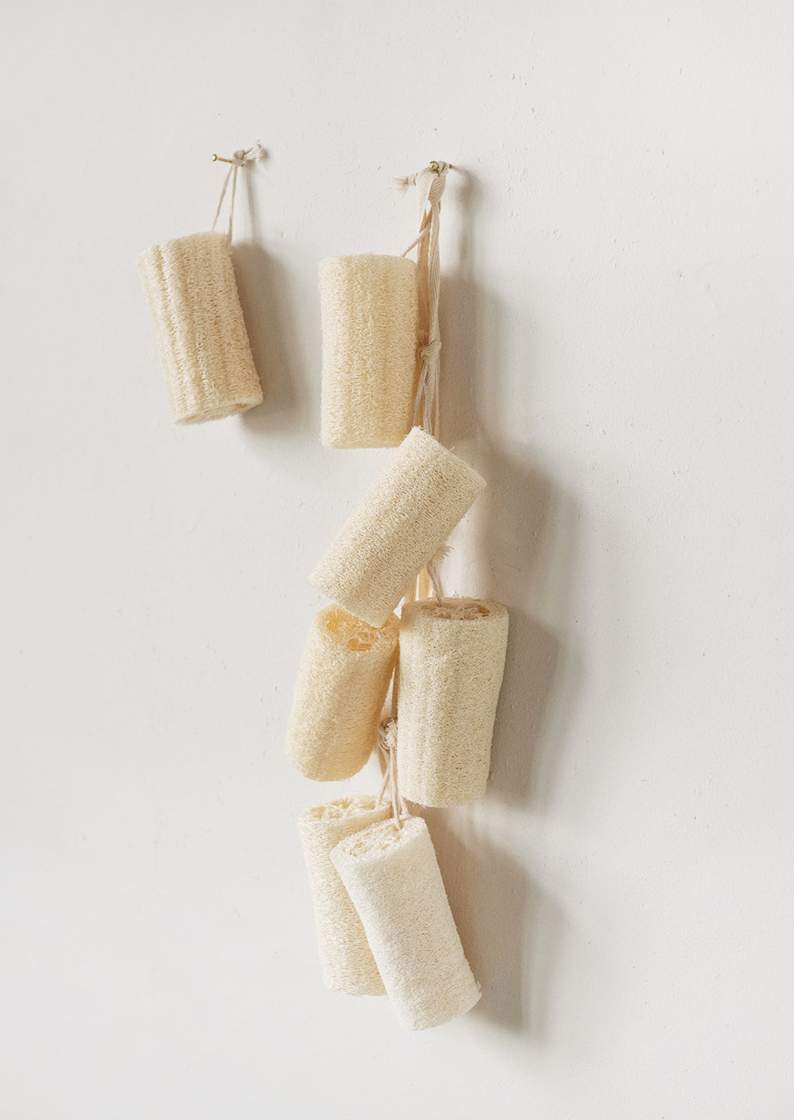 Natural Luffa Brush