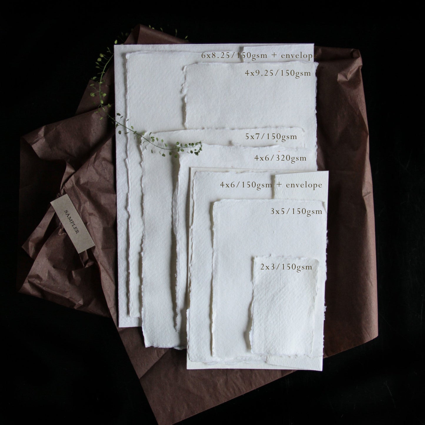 PAPER | SAMPLER