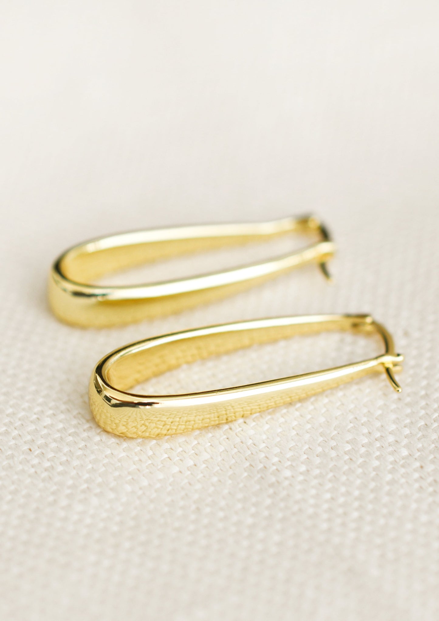 Orbit Oblong Hoop Earrings