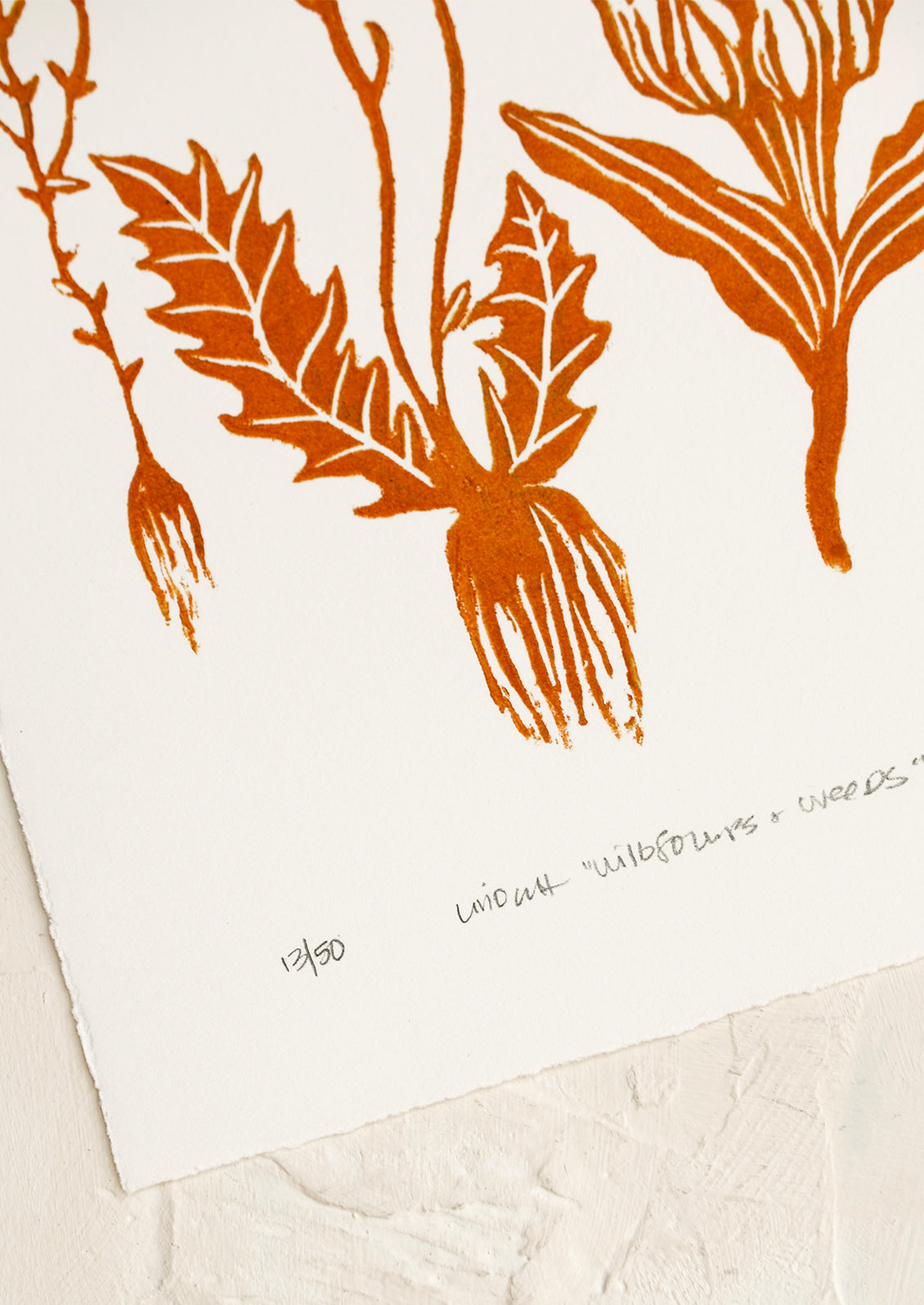 Wildflowers & Weeds Print