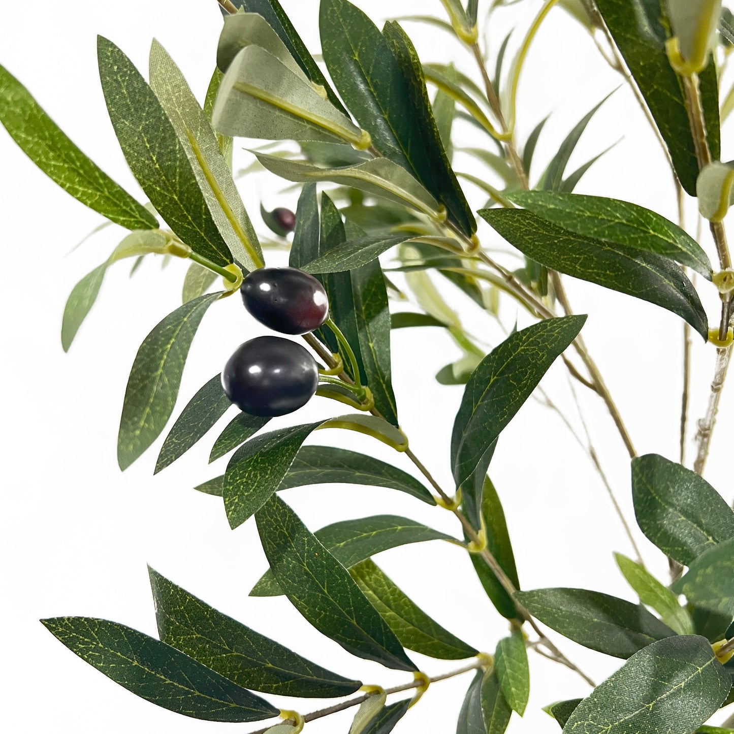 Vortexed Artificial Olive Tree