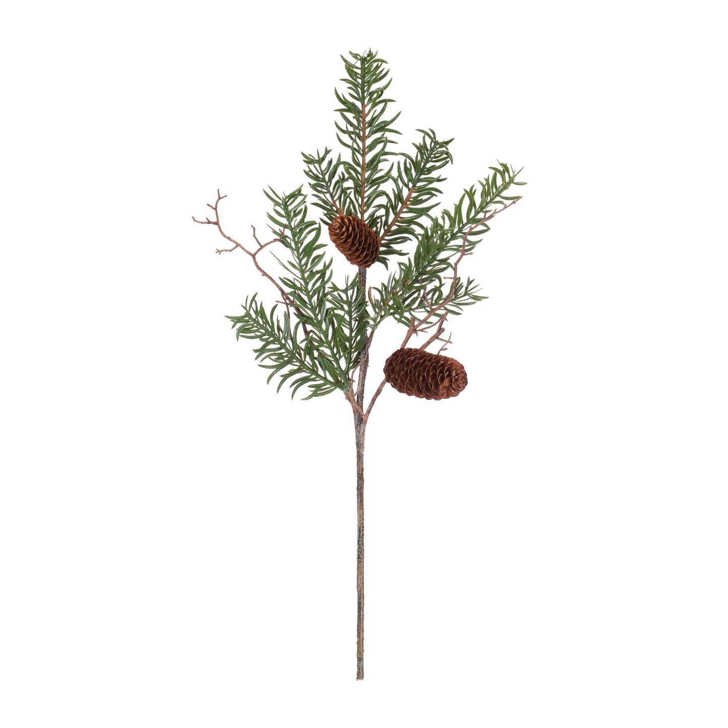 Pine Spray, Set of 12