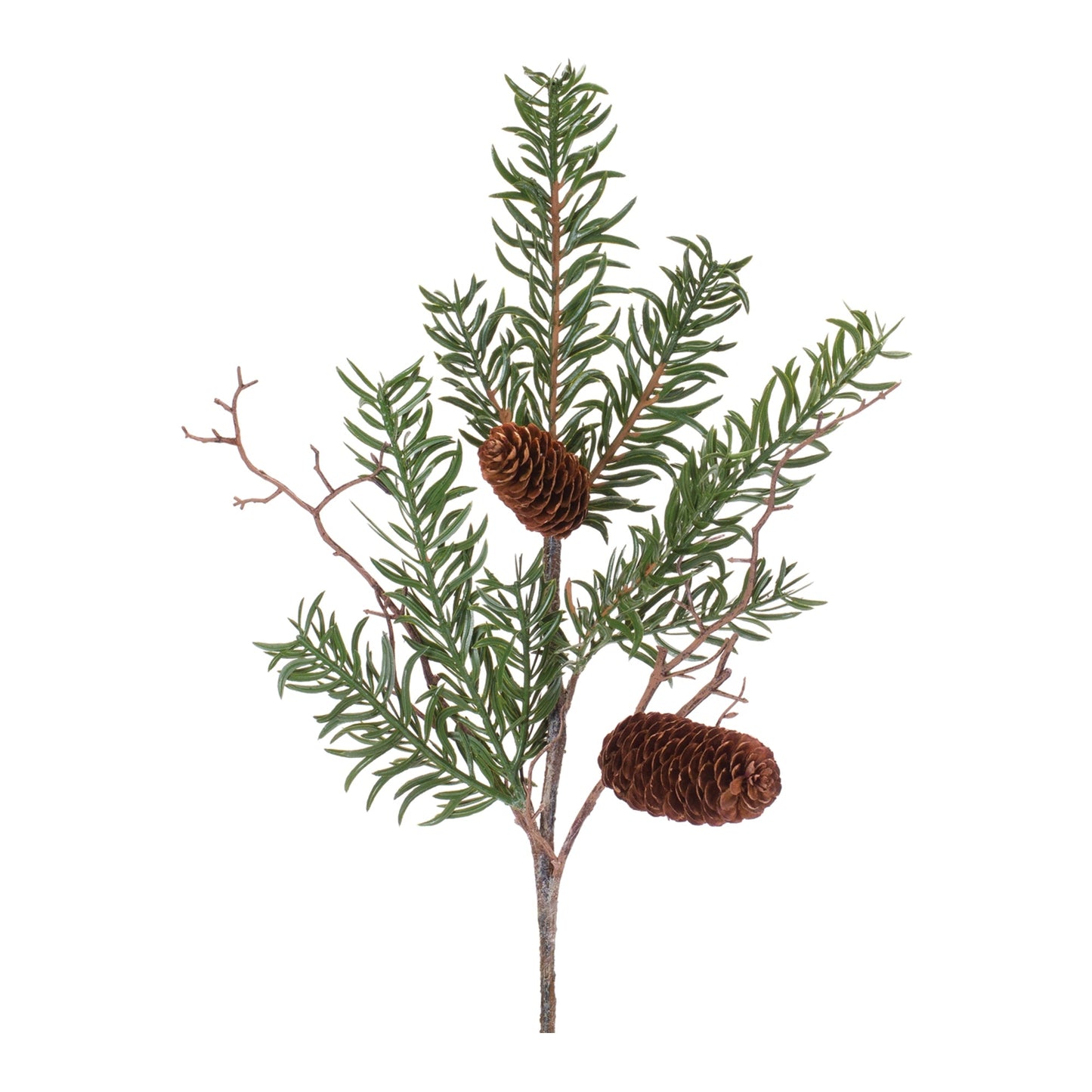 Pine Spray, Set of 12
