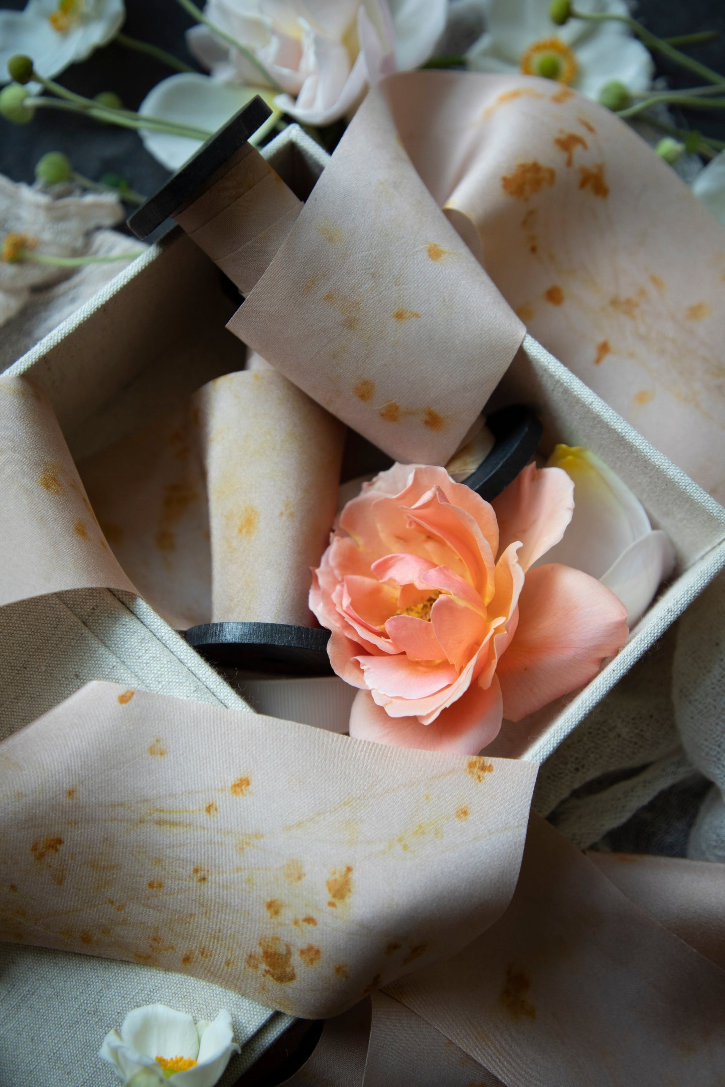 LIMITED EDITION | Original Eco-Print No. 123 Silk Ribbon