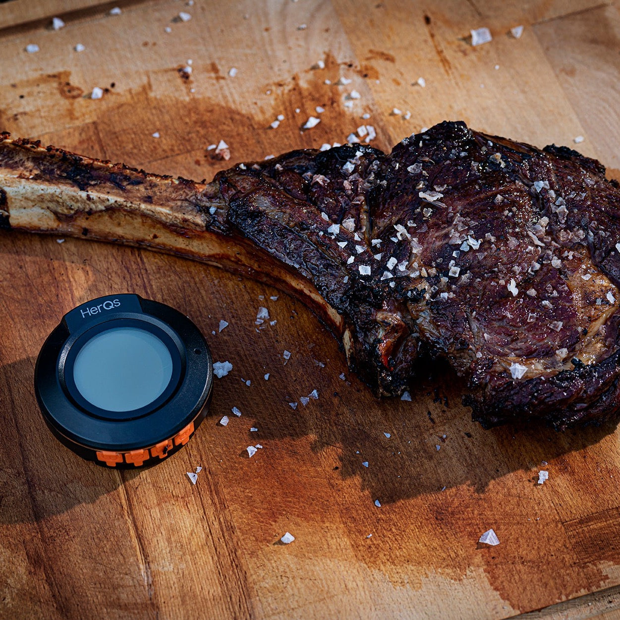 HerQs Easy BBQ HERQS001 Smart Thermometer