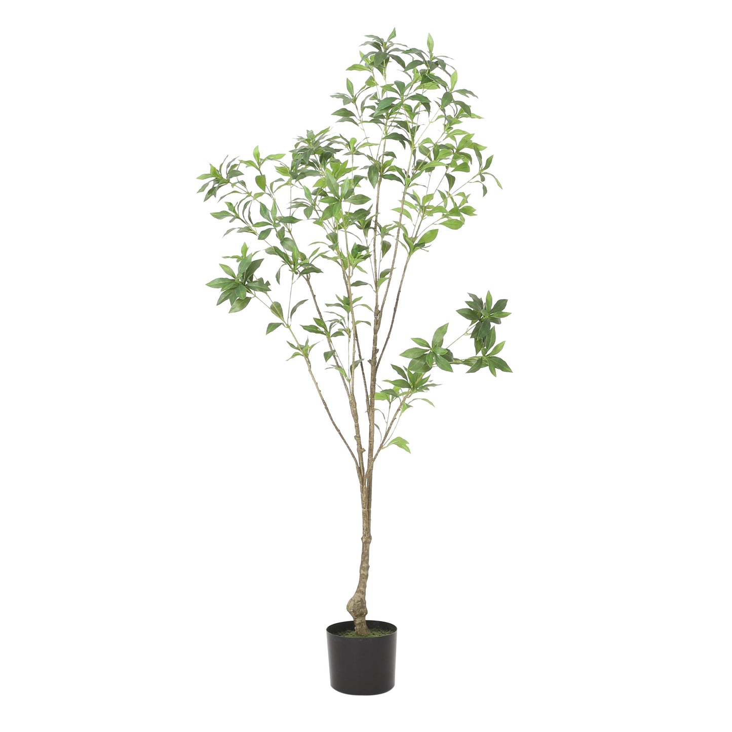 Artificial Pieris Tree