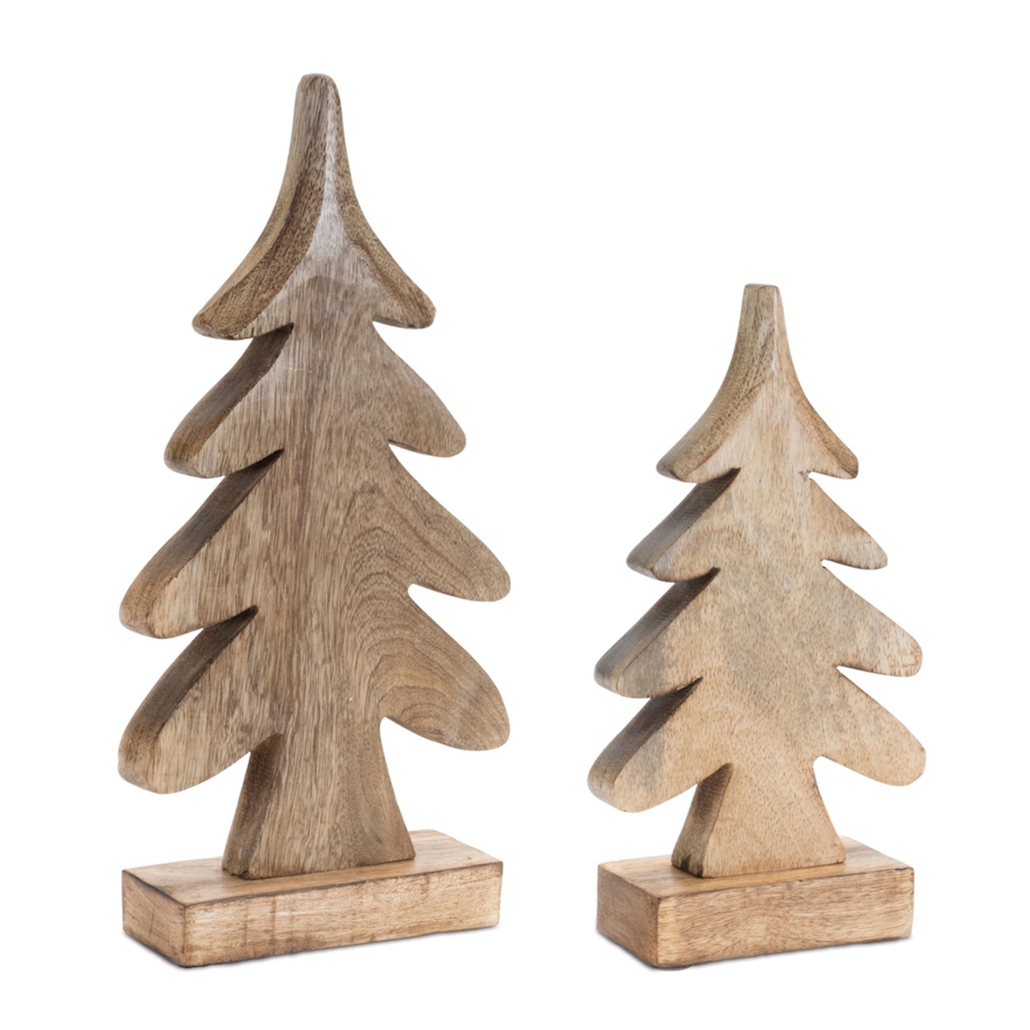 Natural Mango Wood Pine Tree on Base, Set of 2