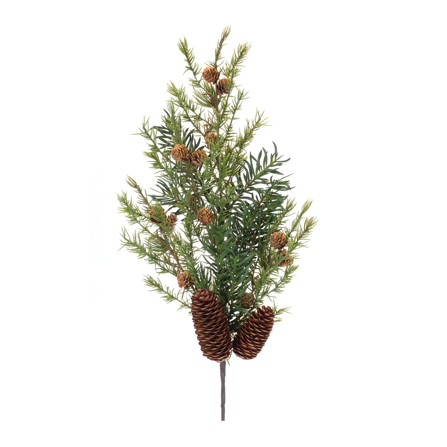 Pine Spray, Set of 6