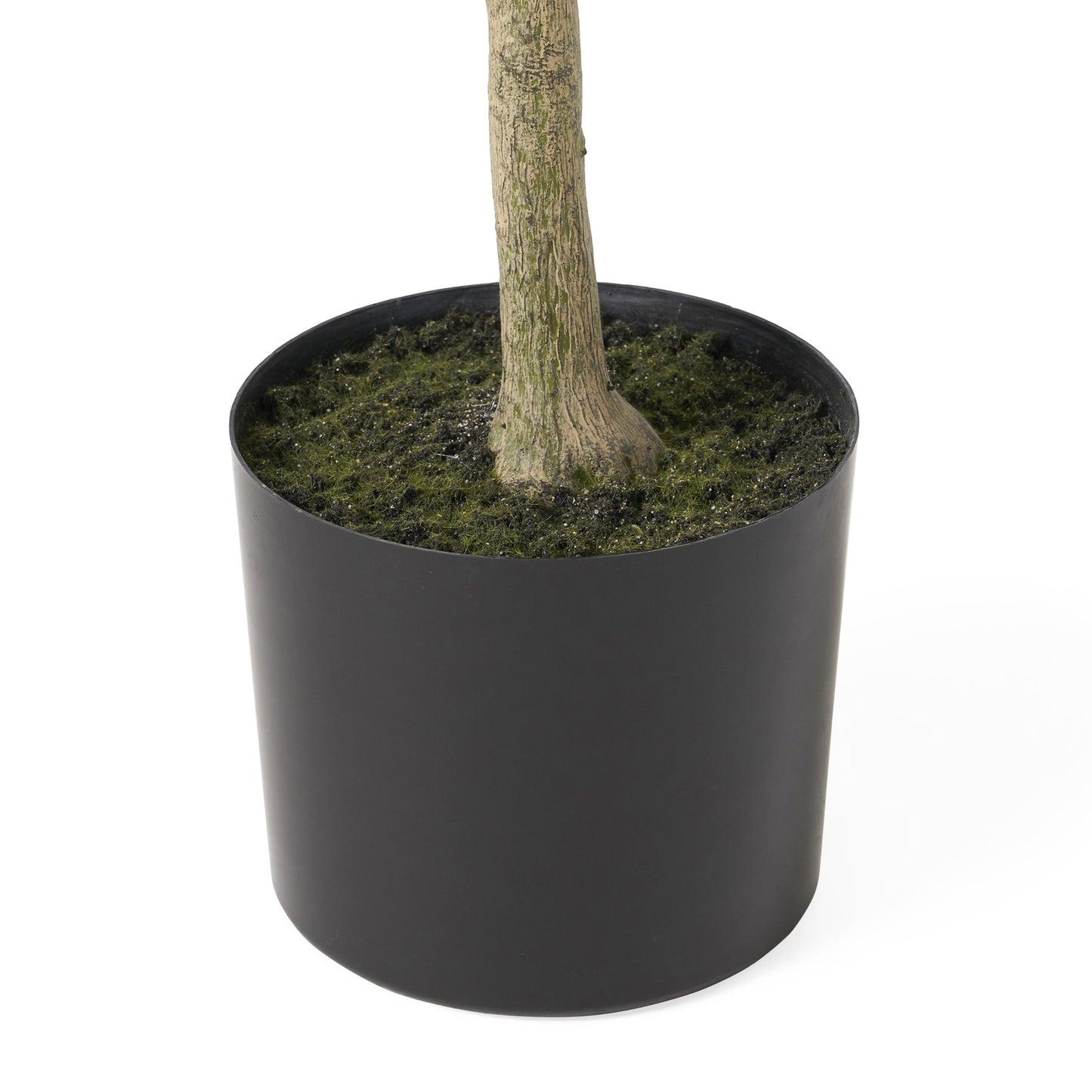 Vortexed Artificial Olive Tree