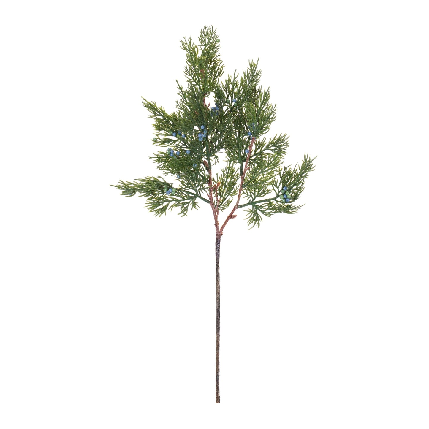 Pine Spray, Set of 12