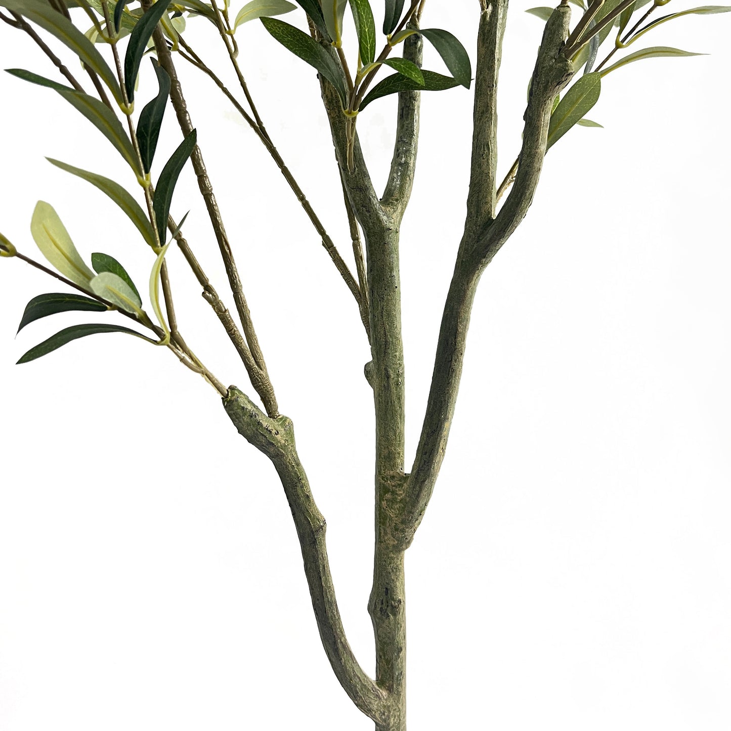 Vortexed Artificial Olive Tree