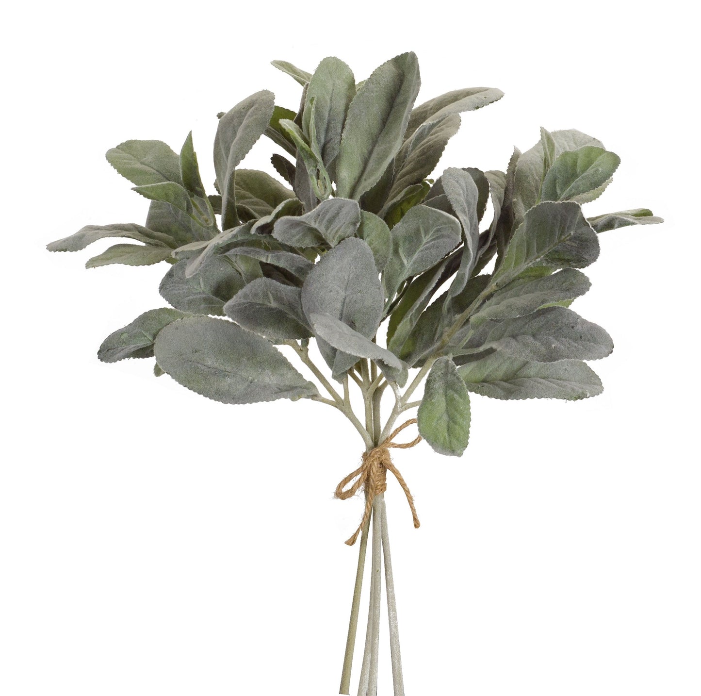 Flocked Lambs Ear Bundle, Set of 12