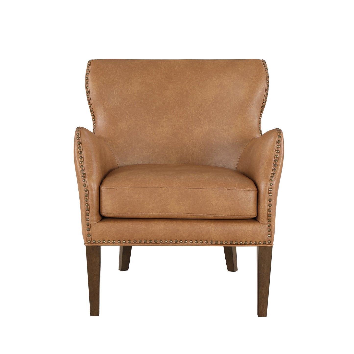 Erythrite Upholstered Accent Chair with Nailhead Trim and Removable Cushion