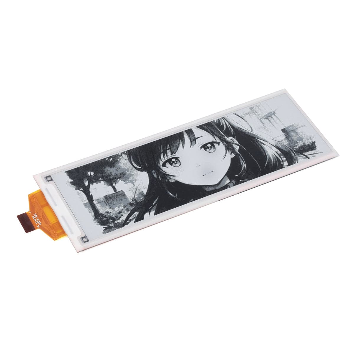 5.79" E-Paper Raw Display (792 x 272) (Black/White)