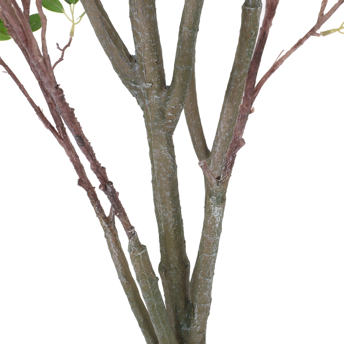 Veracity Artificial Milan Leaves Bonsai