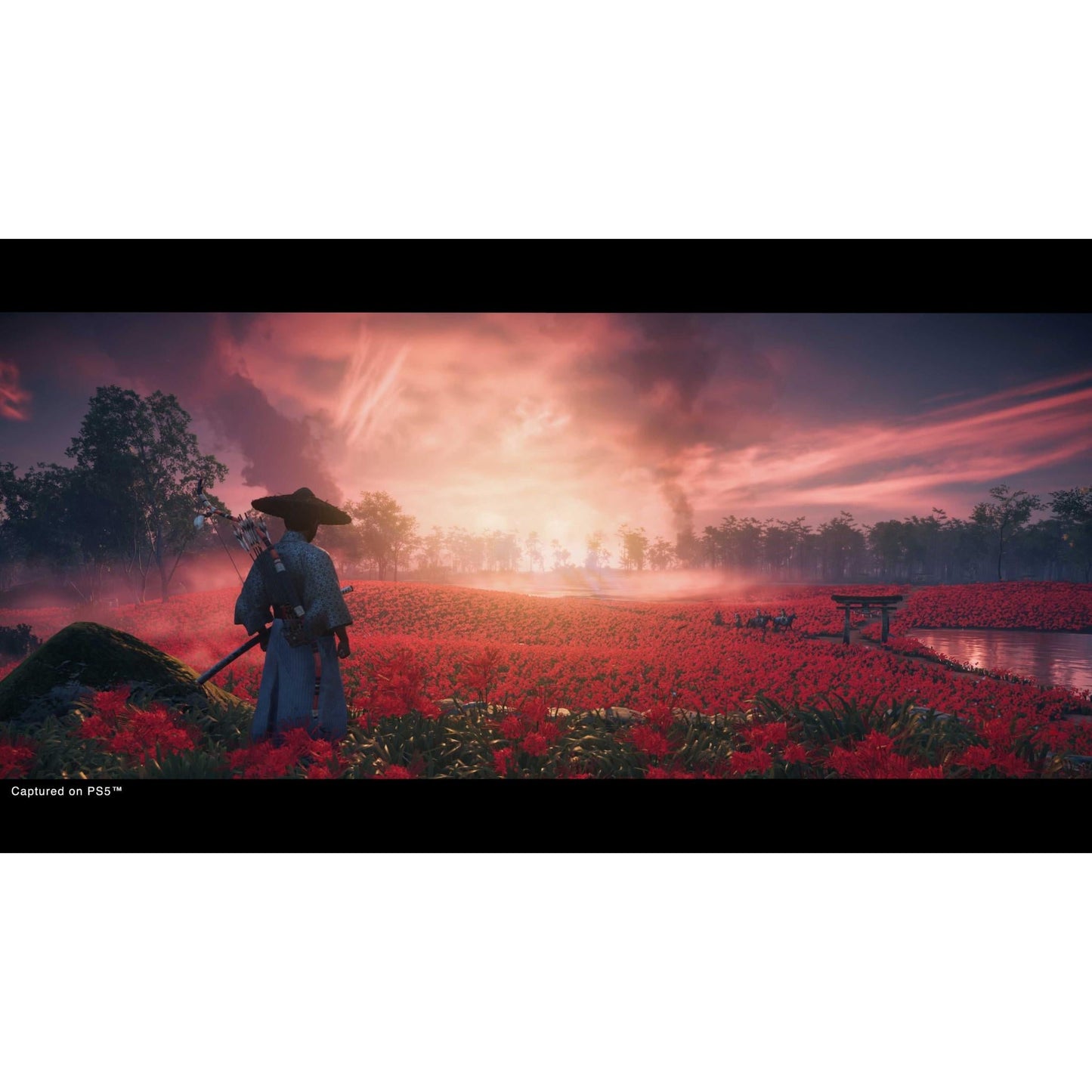 Ghost of Tsushima Director’s Cut