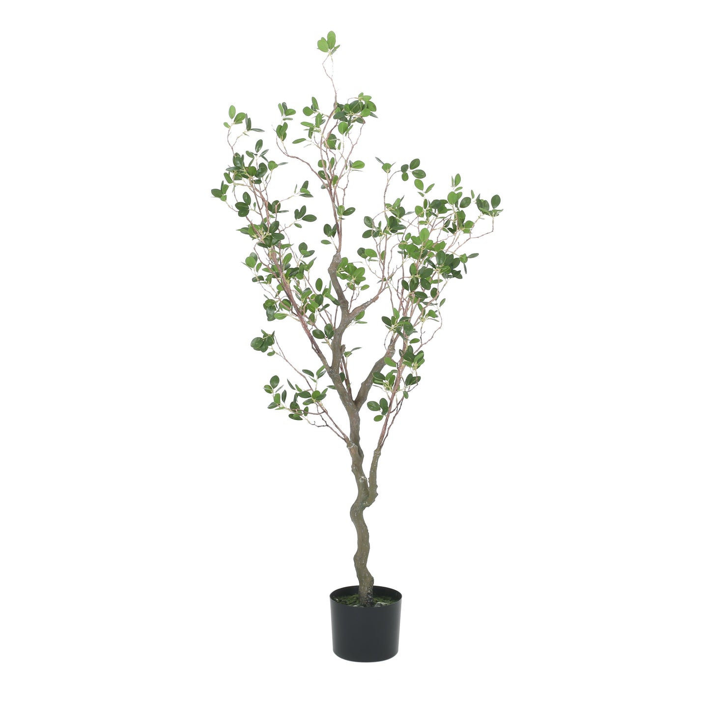 Veracity Artificial Milan Leaves Bonsai