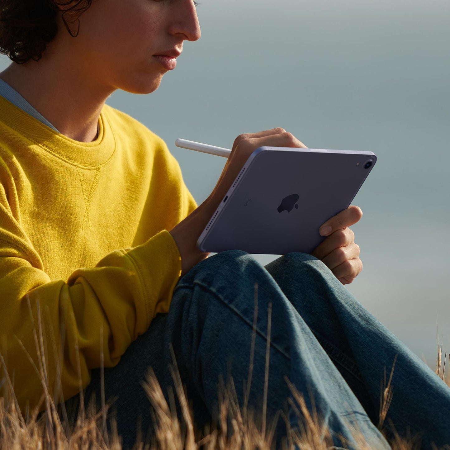 Apple iPad mini 8.3-inch Wi-Fi + Cellular 256GB (Purple) [6th Gen]