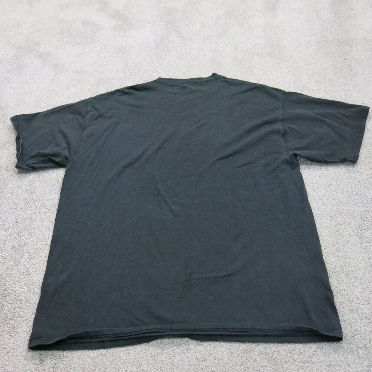 NFL Team Apparel Mens T Shirt Short Sleeve 100% Cotton Lions Logo Black Size 2XL