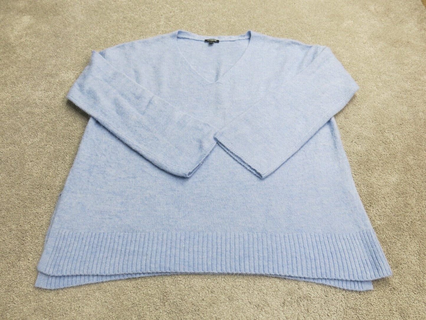 Express Womens Pullover Knitted Sweater Sleeves V Neck Light Blue Size Large