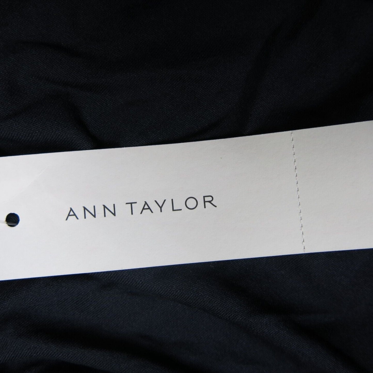 NWT Ann Taylor  Womens A Line Maxi Skirts Striped Flat Font Pull on Blue Size LT