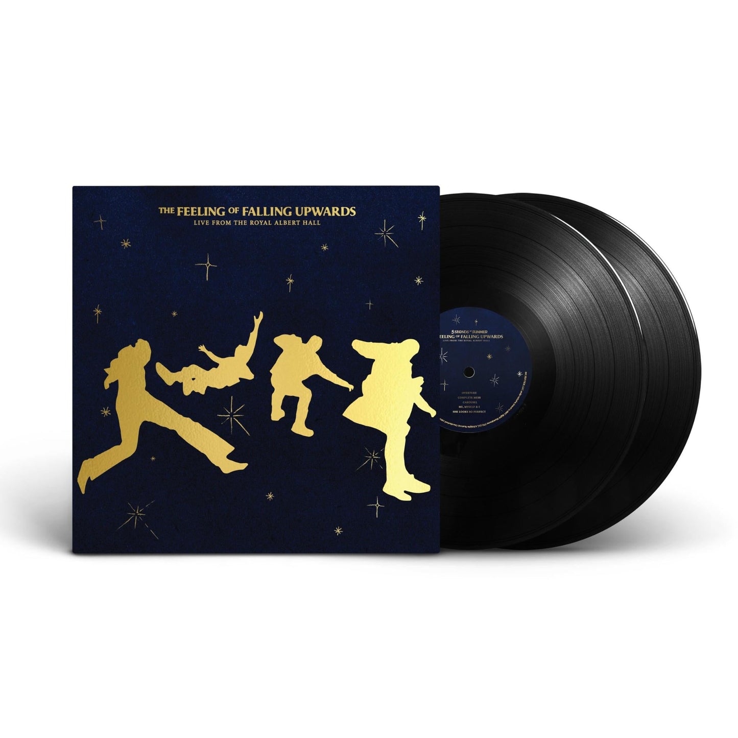 Feeling Of Falling Upwards, The (Live From The Royal Albert Hall) (Vinyl)
