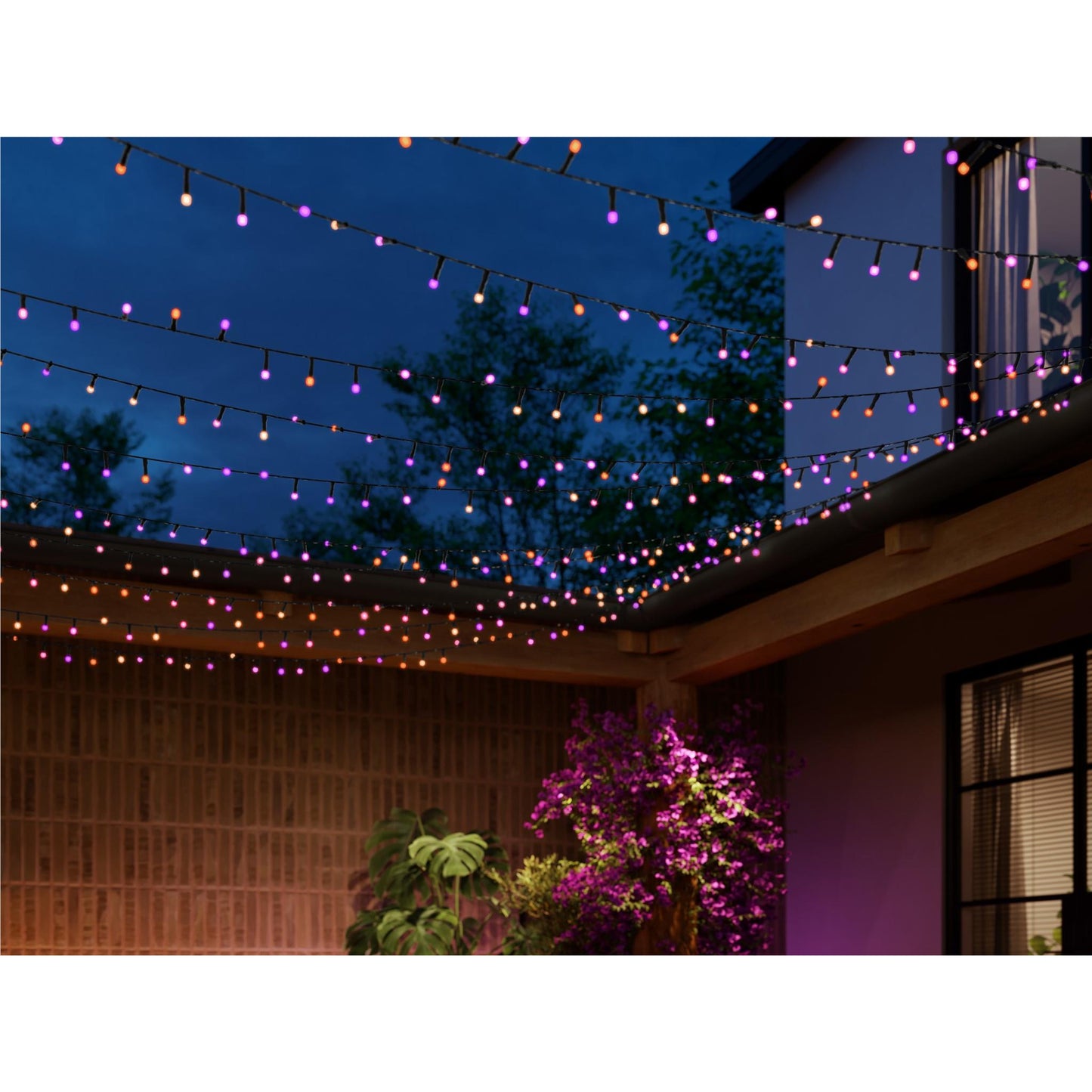 Philips Hue Festavia Smart String Lights (20m)[250 LEDs]