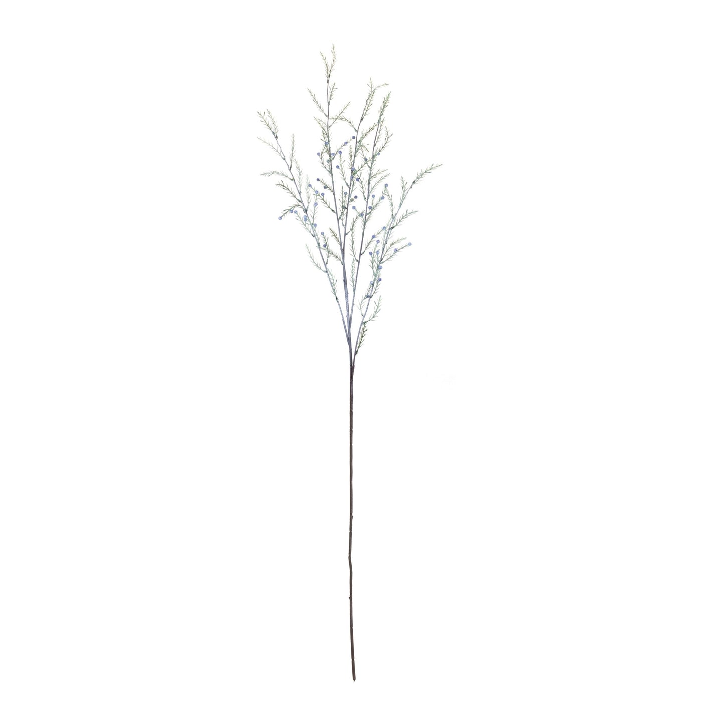 Pine Branch, Set of 12