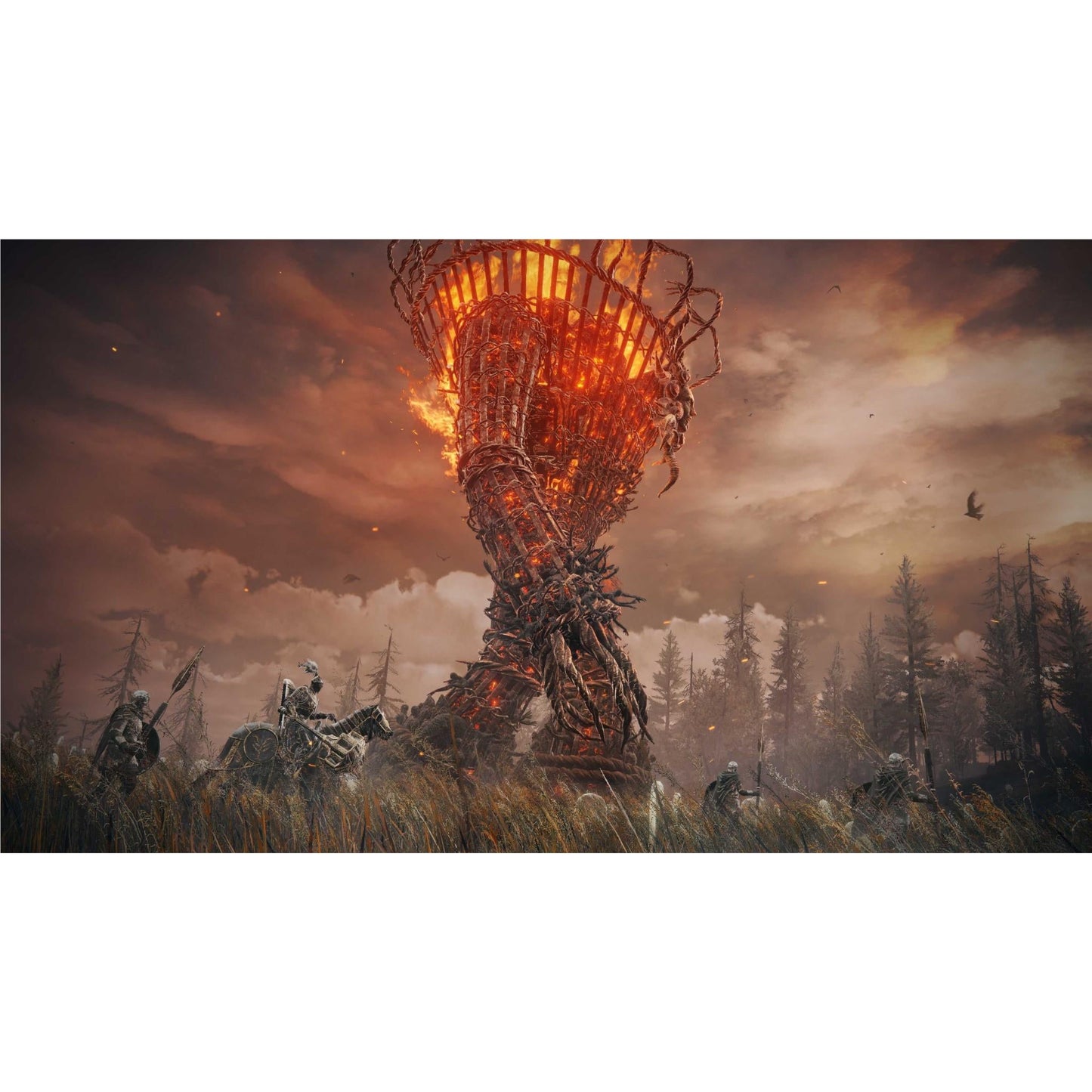 ELDEN RING Shadow of the Erdtree Collector's Edition
