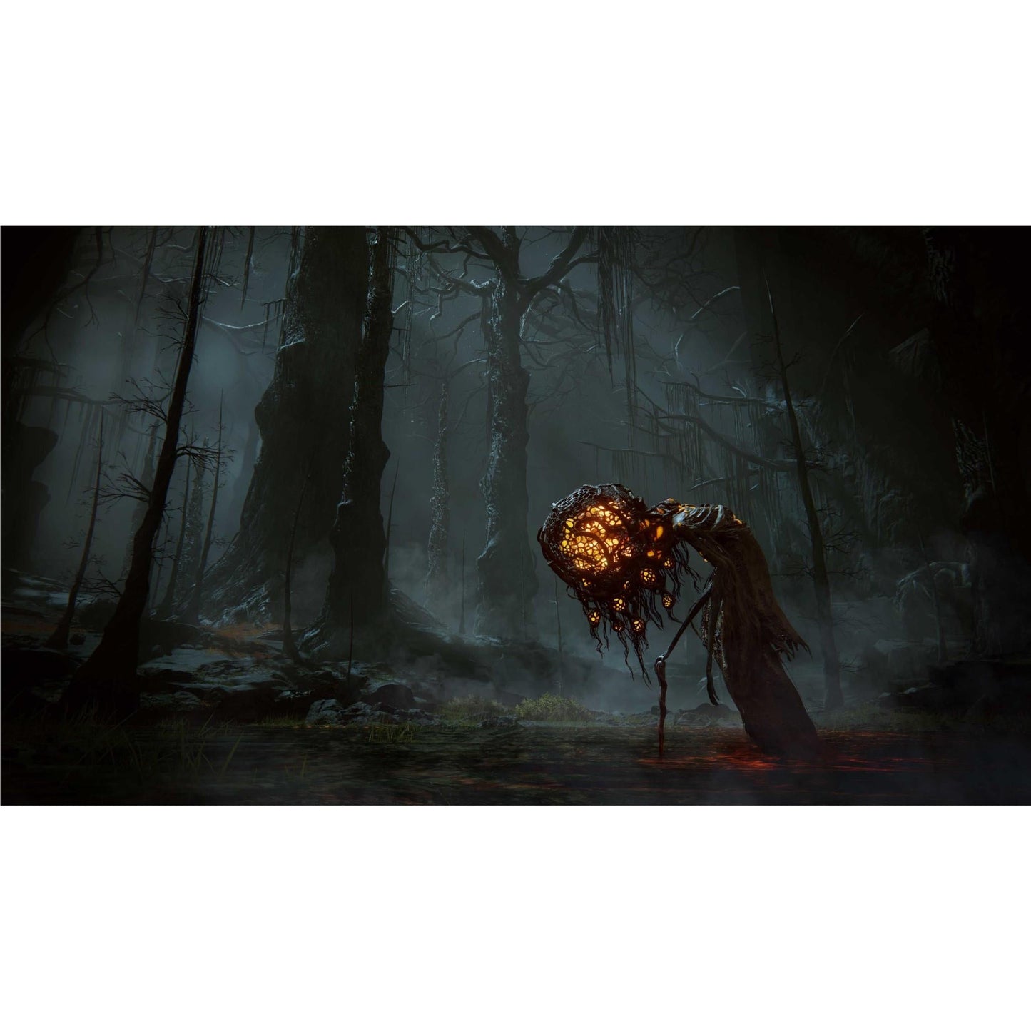 ELDEN RING Shadow of the Erdtree Collector's Edition