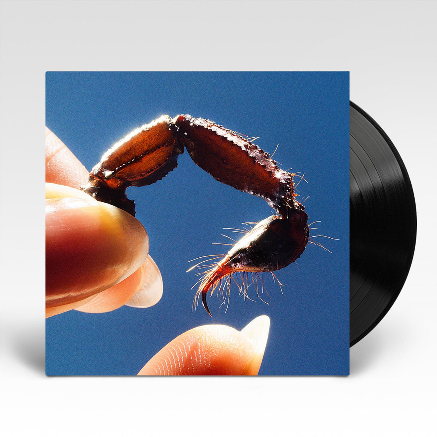 Cowards (Vinyl)