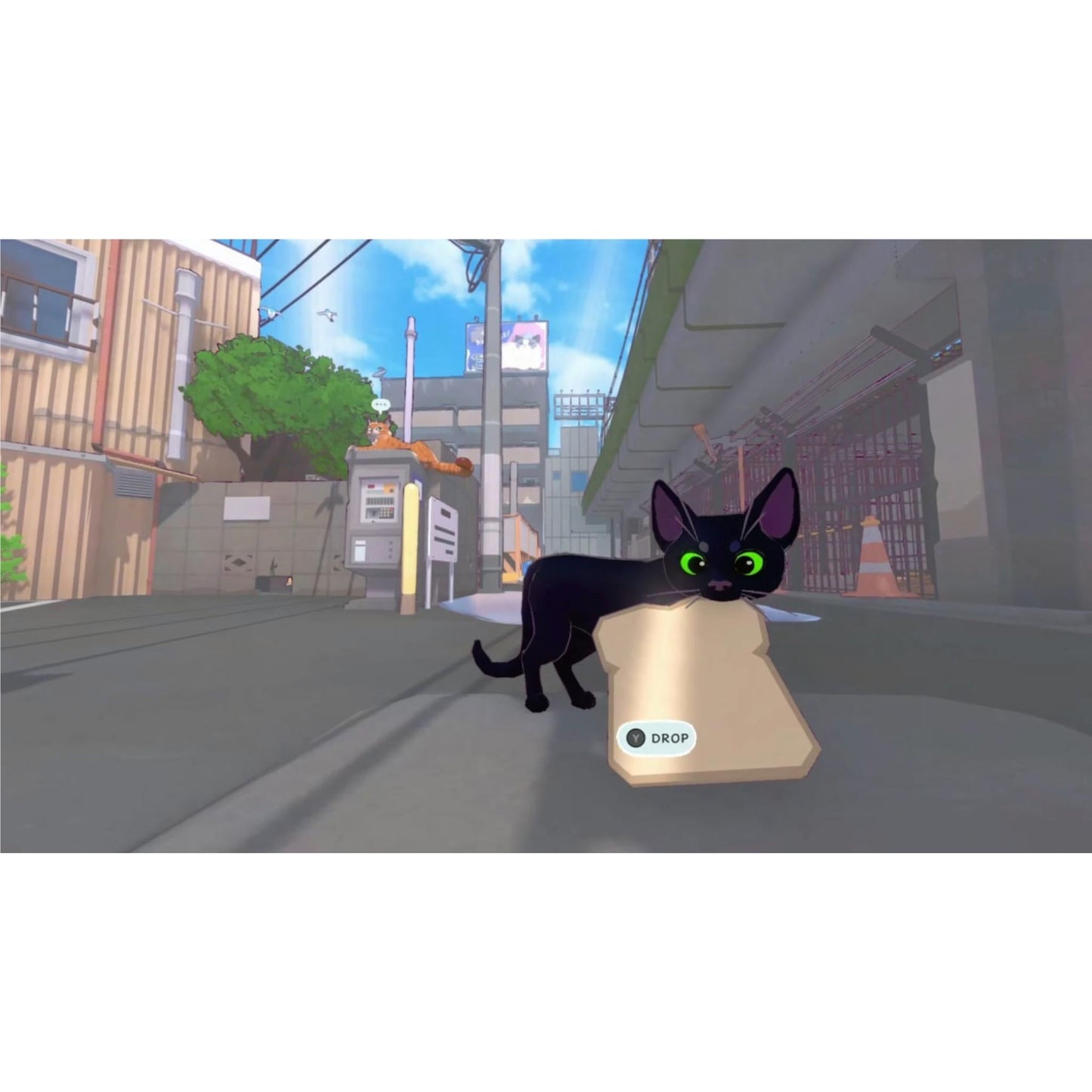 Little Kitty Big City