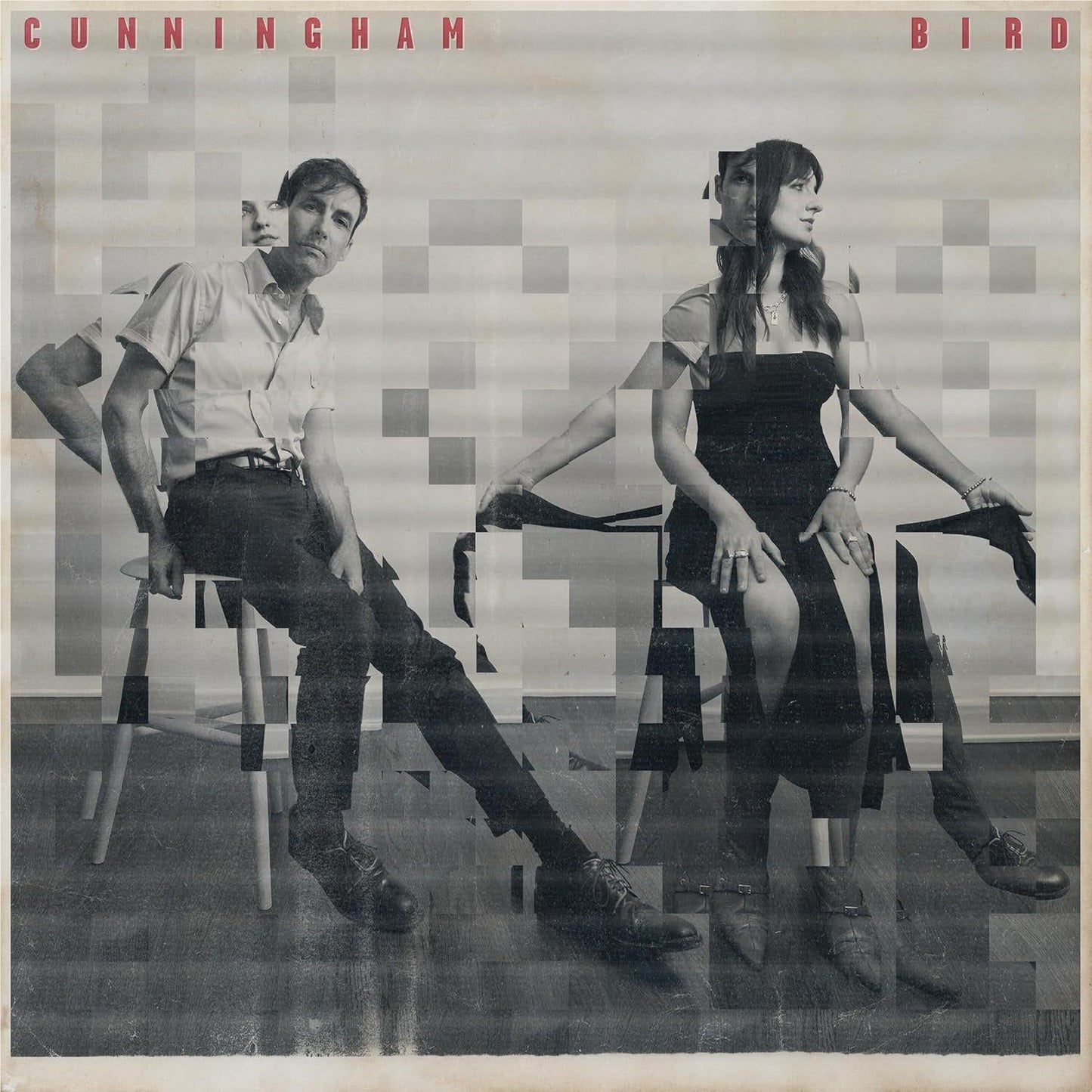 Cunningham Bird (Import)