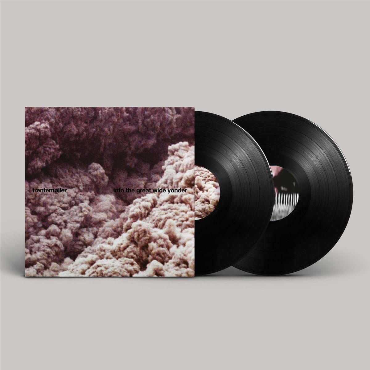 into the great wide yonder (Vinyl) (2025 Repress)