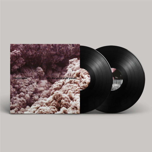 into the great wide yonder (Vinyl) (2025 Repress)